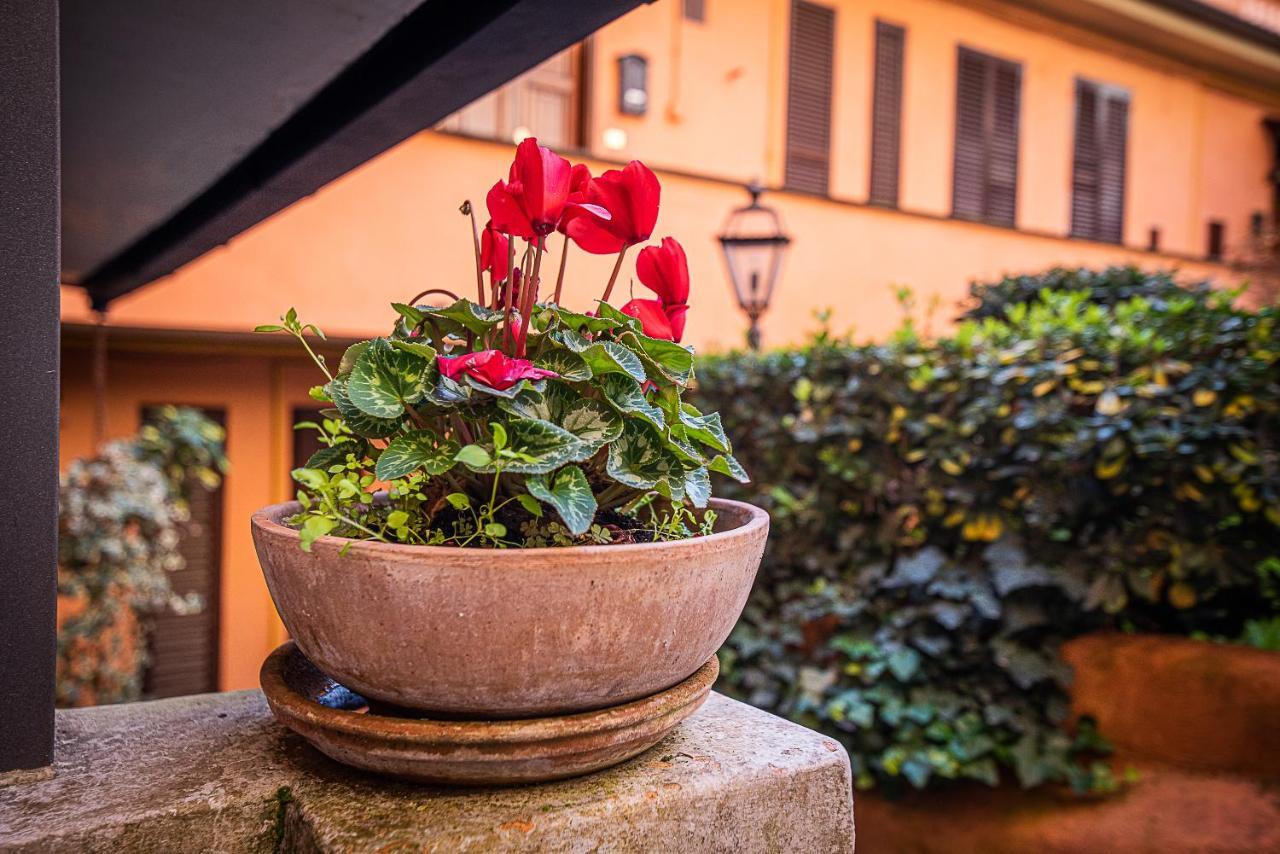 Cosy Studio In The Greenest Corner Of Trastevere روما المظهر الخارجي الصورة