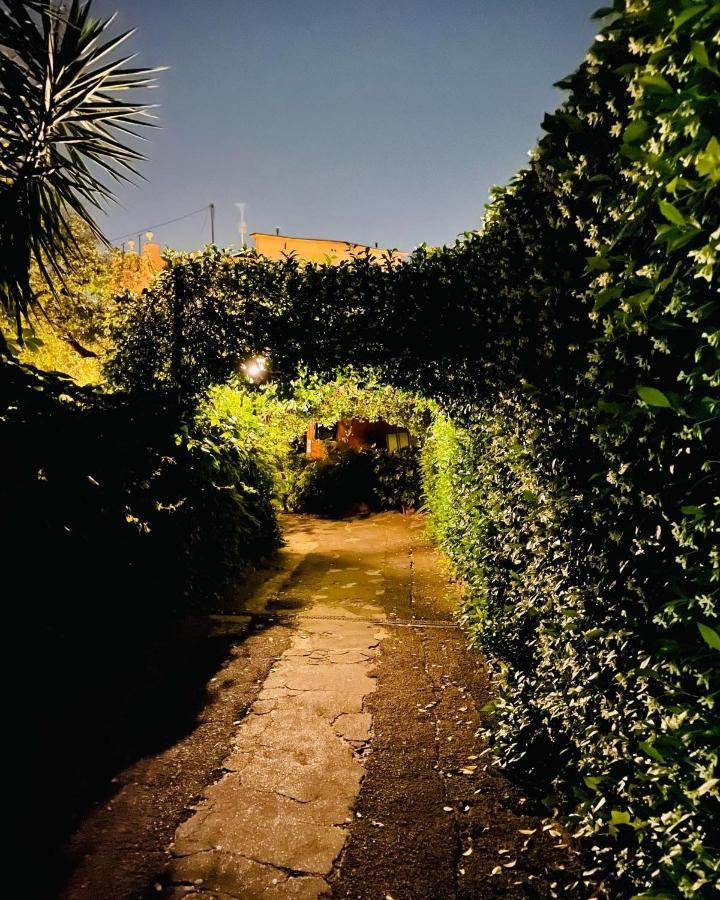 Cosy Studio In The Greenest Corner Of Trastevere روما المظهر الخارجي الصورة